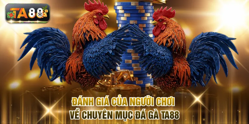 Đánh giá của người chơi về chuyên mục đá gà TA88